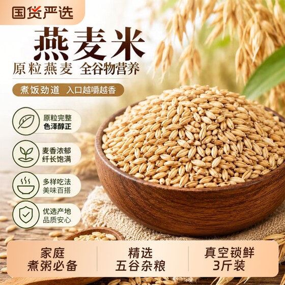 
Northeastern oatmeal 25-year-old new rice germ raw oatmeal grain coarse grain raw materials whole grains traditional grain porridge