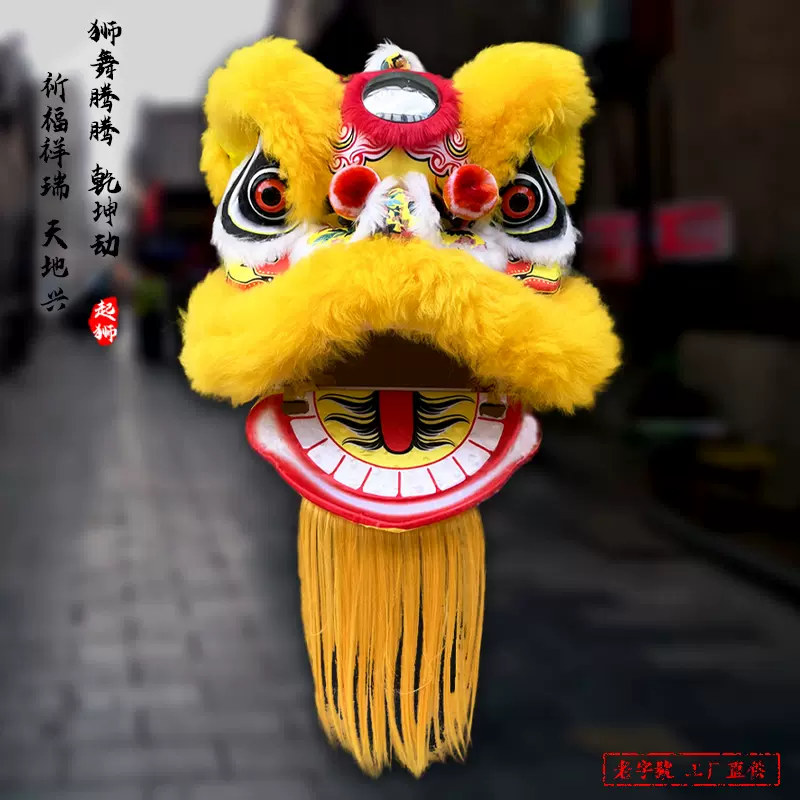 可眨眼羊毛小獅子兒童舞獅子頭擺件小孩表演演出獅頭塑料醒獅道具