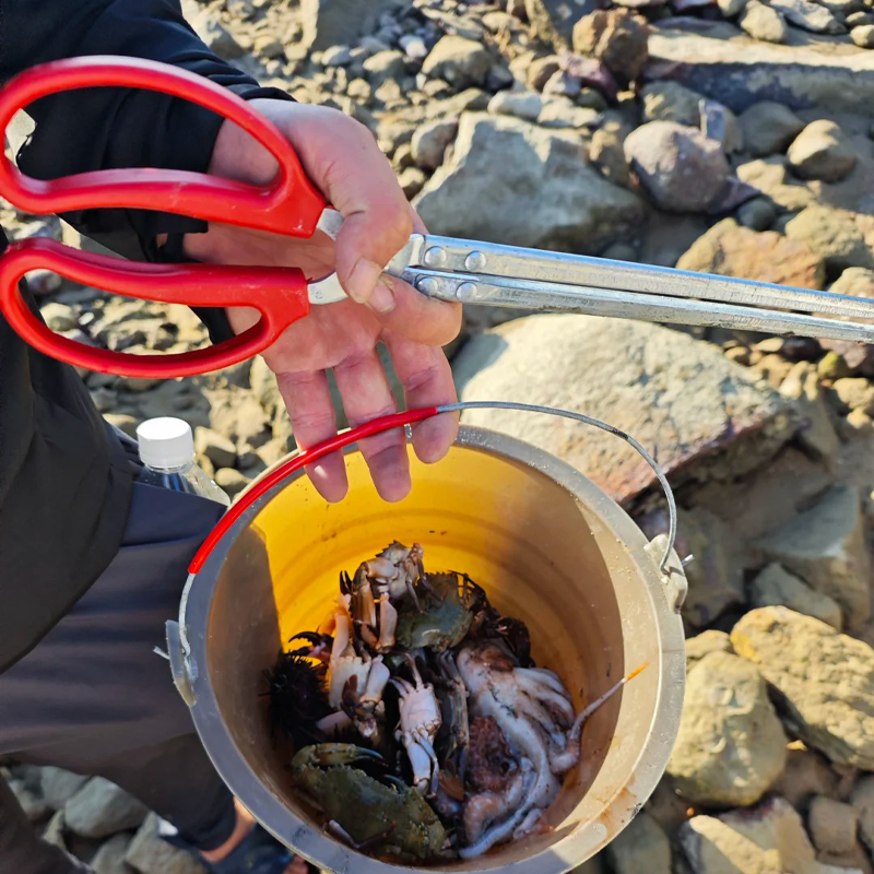 【2-8人精品团】广州潮州汕头南澳岛5天4晚跟团游纯玩0购物含机票