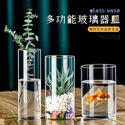 High Borosilicate Straight Glass Vase, Green Radish Small Fish Tank, Flower Arrangement Device, Hydroponic Landscape Flower Pot, Vase, Glass Ornament