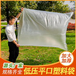 Large Low-Pressure Flat Plastic Bags, Thin Food and Fruit Preservation Bags, Dust-Proof Storage Carton Inner Film Packaging Bags