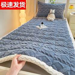 Class a Milk Velvet Mattress Student Dormitory Single and Double Mattress Winter Thickeneded Household Machine Washable Taffeta Velvet Mattress
