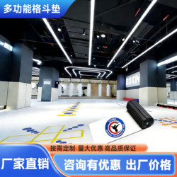 Fighting and Martial Arts Roll Mats, Taekwondo, Boxing, Martial Arts, Sanda, Jiu-Jitsu, Dance, Professional Physical Training, Sports Mats