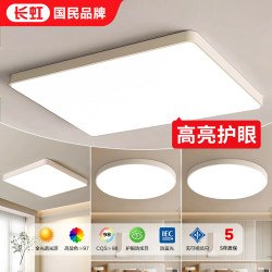Changhong Full-Spectrum Living Room Main Light 2026 New Model Led Super Bright Ceiling Light Simple Modern Elegant Zhongshan Lighting Fixtures