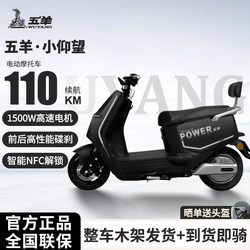 Wuyang Electric Motorcycle 60V72V Smart Electric Scooter for Delivery, High-Speed, Long-Range Electric Motorcycle