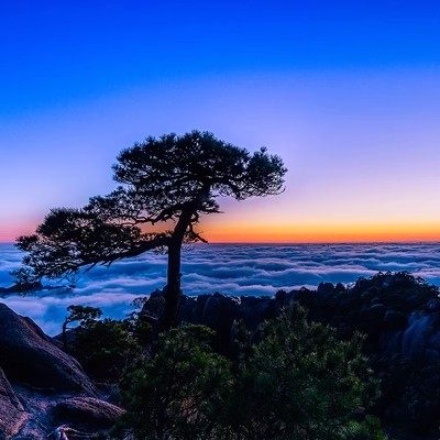 南昌九江庐山景德镇鄱阳湖婺源篁岭龙虎山三清山5天4晚跟团游