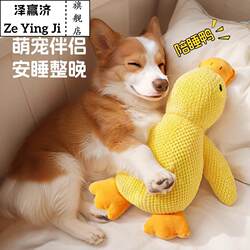 Dog Toy Boredom Buster, Plush Toy for Small and Large Dogs, Self-Entertaining, Sound-Making, Teeth-Grinding, Durable Chew Toy for Dogs