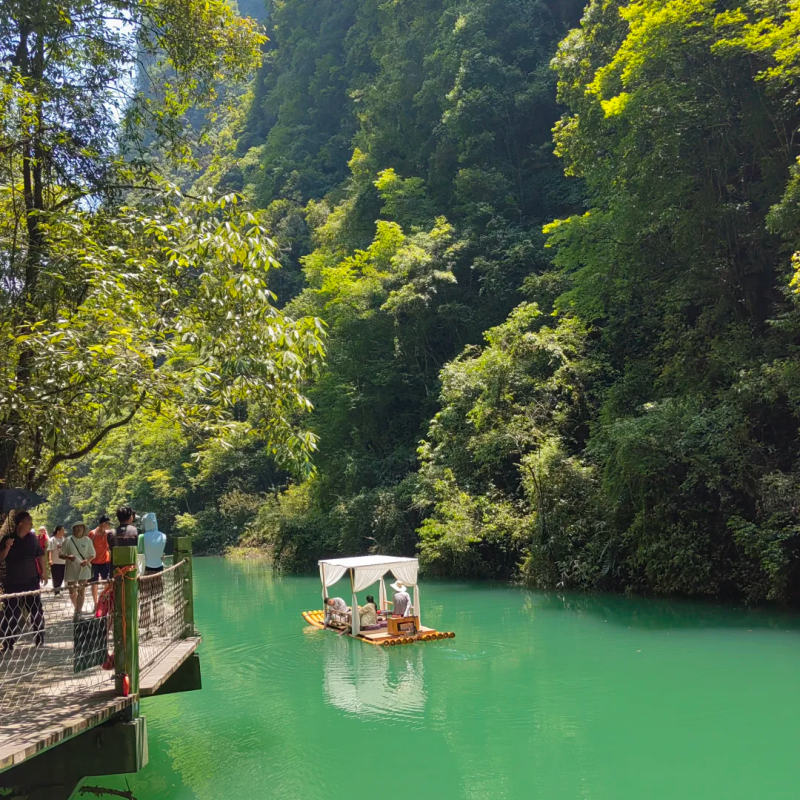 【私家包车游|湖北恩施+神农架+大九湖 7日游】 任性1次玩个够