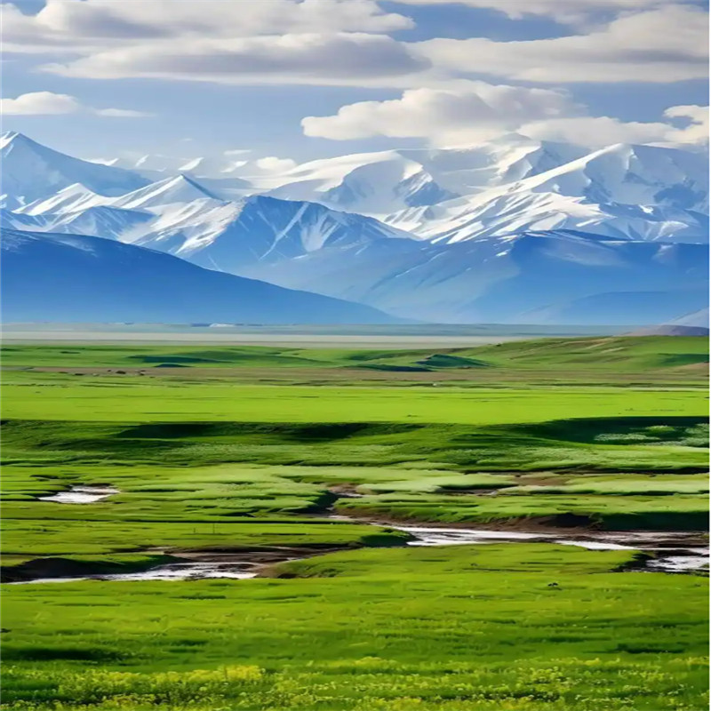 冬恋伊犁头等舱7日游赛里木湖果子沟那拉提库尔德宁独山子大峡谷