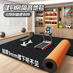 Home Fitness Soundproof Floor Mat Professional Floor Soundproofing and Shock Absorption Gym Dance Studio Thickened Sound-Absorbing Carpet
