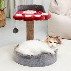 Cat Climbing Frame, Rattan Mat, Cat Nest, Integrated, Does Not Occupy an Area, Small Cat Jumping Platform Toy, Cat Scratching Post, Cat Supplies Manufacturer