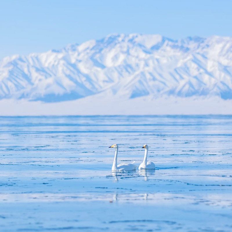 新疆滑雪小团魔鬼城禾木喀纳斯赛里木湖8天7晚拼车团1+1头等舱