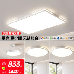 Dell Living Room Ceiling Light 2026 New Model Large Modern Simple and Elegant Ceiling Lamp Zhongshan Lighting Whole House Package
