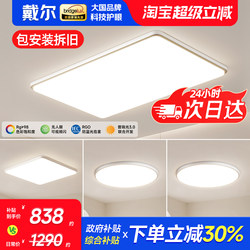 Dell Living Room Main Ceiling Light 2025 New Model Modern Simple and Elegant Guangdong Zhongshan Lighting Whole House Package