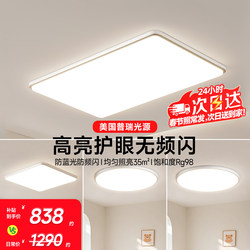 Dell Living Room Ceiling Light 2025 New Model Modern Simple and Elegant Guangdong Zhongshan Lighting Whole House Package