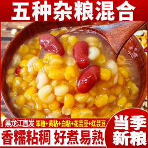 
Cuibeiwei Northeast corn grilled small pieces of slag porridge fresh fine grains, sticks, sticks, sticks, sticks, sticks, sticks, sticks, sticks, sticks, and glutinous grains