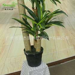 Simulation Brazilian iron indoor tropical rainforest landscaping simulation green plants simulated plants iron tree simulated trees Nordic bonsai