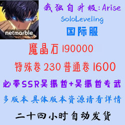 I Upgraded My Own Arise Starter Account on the International Server Using Self-Drawn Stone Resources