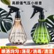 Garden watering spray bottle disinfection special alcohol spray bottle sprinkler kettle air pressure household watering cleaning spray kettle