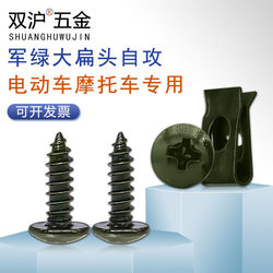 Shuanghuojun Green Large Flat Head Self-Tapping Electric Vehicle Motorcycle Special Pointed Tail Nail Self-Tapping Self-Drilling Machine Screw M4M5