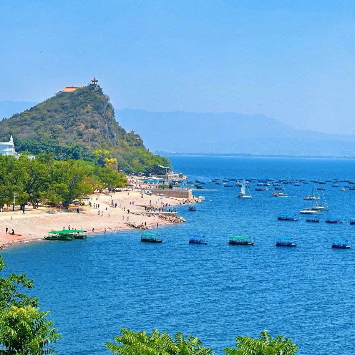 昆明一日游纯玩石林+抚仙湖一日游包车游私家团