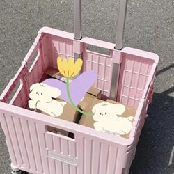 Go Upstairs to Get a Supermarket Cart, Buy Groceries, and Take It Away; a Lightweight Foldable Shopping Cart with a Buzzer for Delivery