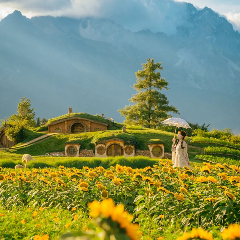 【云游荟】轻奢纯玩|云南昆明大理丽江香格里拉西双版纳10天9晚