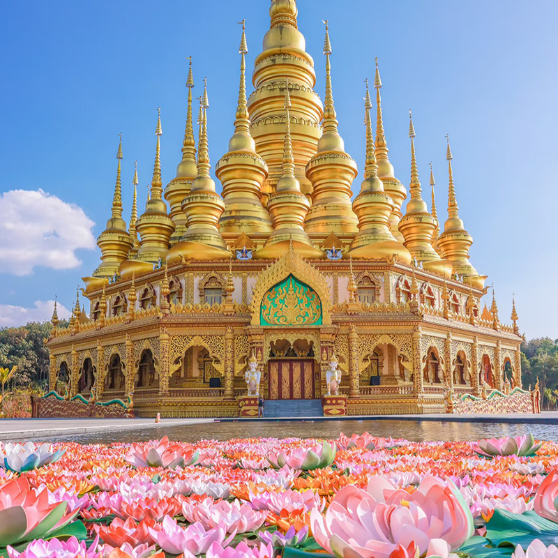 【私家团】云南旅游纯玩西双版纳旅游5天4晚包车小团半自由行旅行