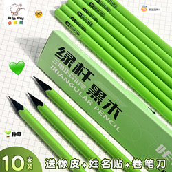Small Green Triangular Pencil for Primary School Students, Suitable for Grades 1-3, 2B Pencil, Non-Toxic Special Pencil for Primary School Students, Hb Pencil, High-Quality Green Wooden Pencil for Kindergarten Beginners