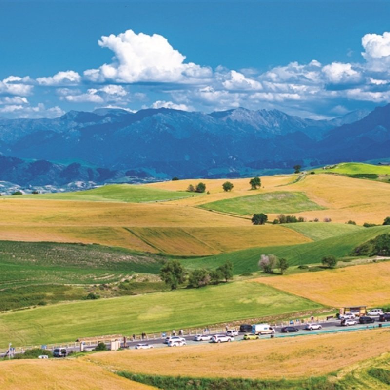 新疆江布拉克大草原1日 万亩麦浪 花海子 大峡谷等 多集合地可选