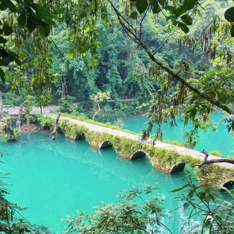 【一单一团】贵州旅游黄果树小七孔苗寨青岩6天5晚跟团游真纯玩