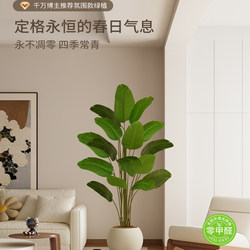 Artificial Green Plant Traveler's Banana Tree for Indoor Living Room Entrance Decoration, High-End Artificial Green Plant Potted Floor-Standing Large Ornament