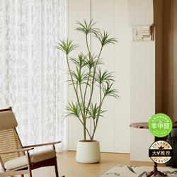 Simulated Millennium Wood Green Plant Indoor Living Room High-End Decoration Piece, Artificial Plant Decoration, Large Potted Floor-Standing Fake Tree