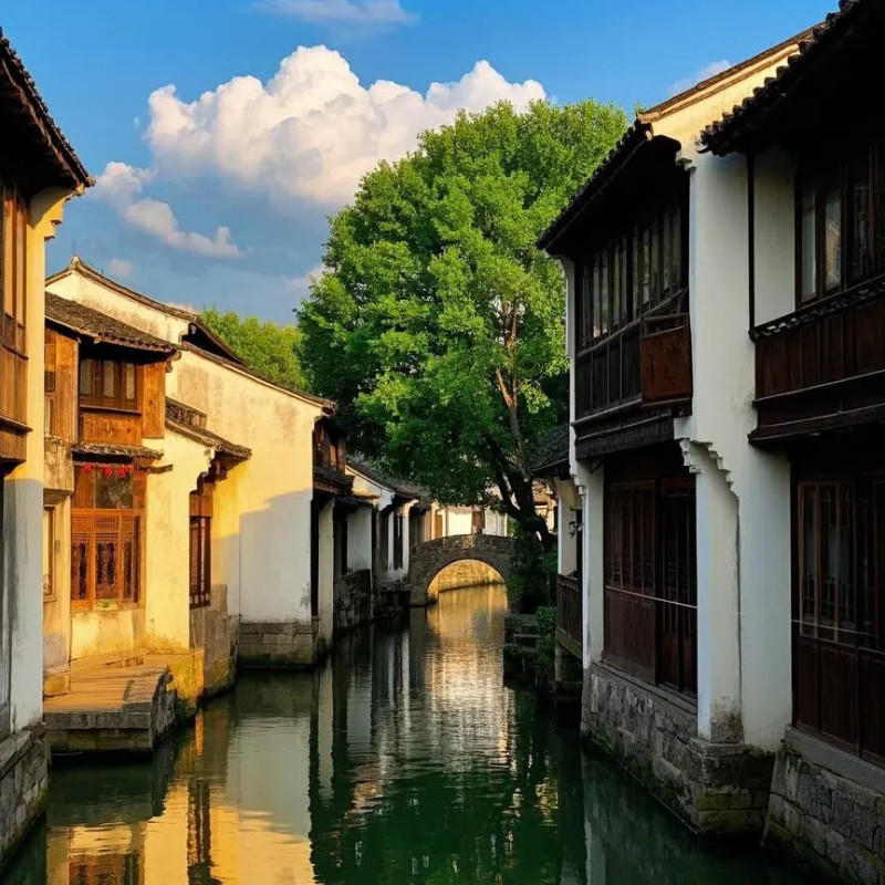 老街旧巷,青砖灰瓦&乌镇一日游+含西栅门票+专车杭州往返乌镇