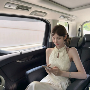 
MEI ZI Meizi-26 early spring new Chinese style high-end and temperament Chinese style long skirt dress