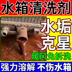 Car Water Tank Cleaning Agent, Special Powerful Dirt Remover for Truck Interiors, Universal for Heater, Engine, and Radiator