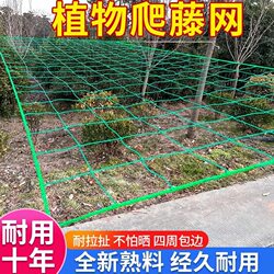Plant Climbing Net, Cucumber Climbing Net, Loofah Climbing Net, Climbing Net for Melon, Passion Fruit Climbing Net, Trellis Net, Climbing Net