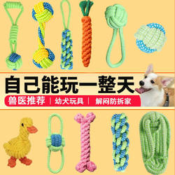Pet Dog Self-Entertainment Toy, Chew-Resistant Teething Stick, Knot Toy for Teddy and Bichon Puppies, Suitable for Small and Medium-Sized Dogs, Dog Puzzle Toy