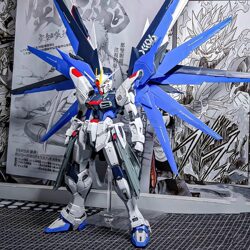 Gundam Model Hg Strike Freedom New Life Destiny Red Heretic Assembled Toy Mecha Unicorn Figure for Boys