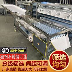 Orbital sorting machine cherry tomatoes and plums