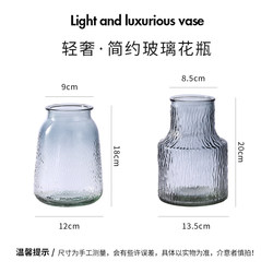 Internet celebrity glass vase simple transparent creative Nordic water culture flower arrangement living room hydroponic table decoration