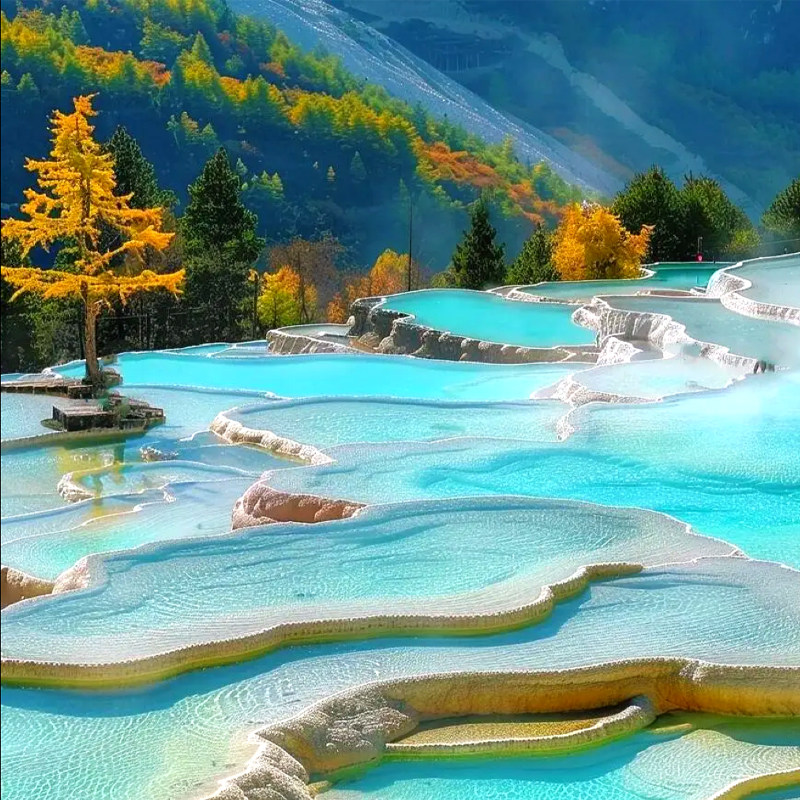 含往返交通-成都双动九寨沟黄龙三星堆熊猫基地0购物0自费6日游