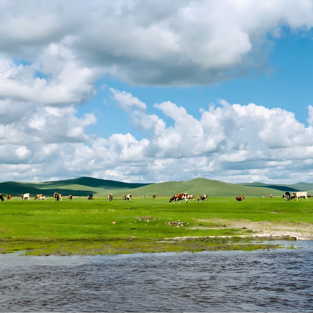 内蒙古呼伦贝尔大草原满洲里阿尔山海拉尔秋季旅游7天6晚纯玩小团