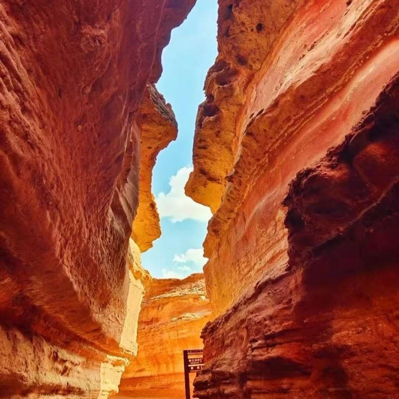 西北独特丹霞地貌2日游满巴拉僧庙+乌海湖+甘德尔山+西部梦幻峡谷