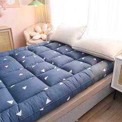 Mattress Dormitory Student Single Feather Velvet Three-Dimensional Soft Mattress Tatami