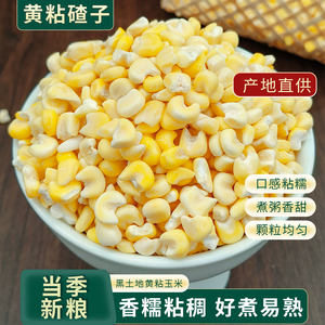 
Authentic Northeast glutinous corn crumbs, large glutinous rice porridge, sticky corn grits, farmer’s specialty, multigrain, fragrant glutinous rice companion