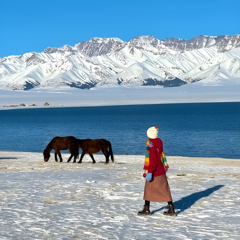 【全国出发】新疆旅游赛里木湖伊犁那拉提6人小团大7座车纯玩8天