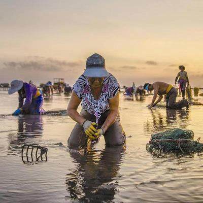 【可选18人团】厦门旅游厦门泉州5天4晚跟团游鼓浪屿云水谣专拍