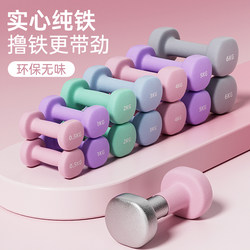 Dumbbells for Women's Fitness, Home Exercise Equipment, Training, Plastic-Coated Solid Cast Iron Barbells, Small Dumbbells 2kg Pair