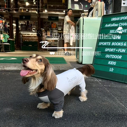 A Small Dachshund Summer Cooling Four-Legged Outfit, Outdoor Insect-Proof, Moisture-Absorbing, Quick-Drying, Lightweight and Breathable Dachshund Clothing